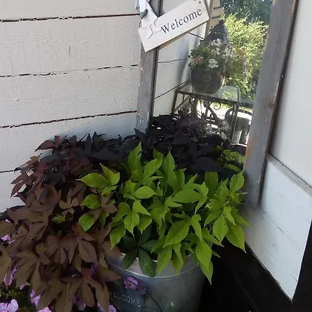 Bed & Breakfast Hoeve Weltevree Andocs